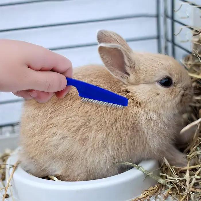 Kit de toilettage pour lapin, dissolvant de taches, peignes de nettoyage, coupe-ongles pour animaux 
