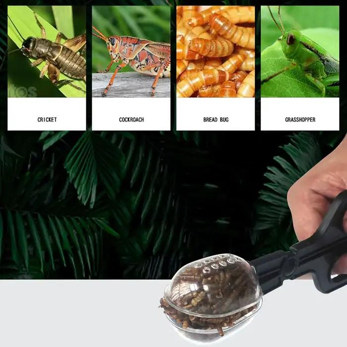 Pince à épiler en plastique pour animaux de compagnie, outil d'alimentation, pince, piège à insectes