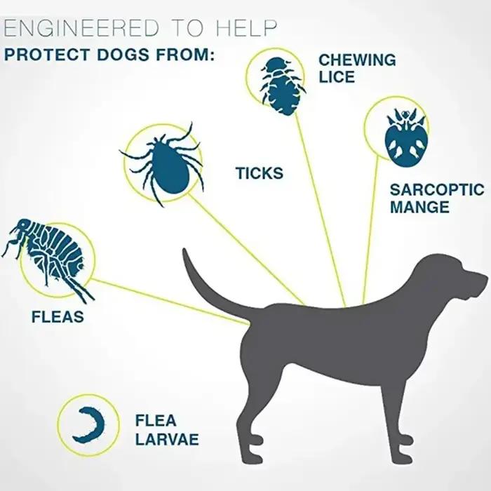 Collier de défense contre les pulies et les tiques de 8 mois pour chiens et chats – Protection anti-