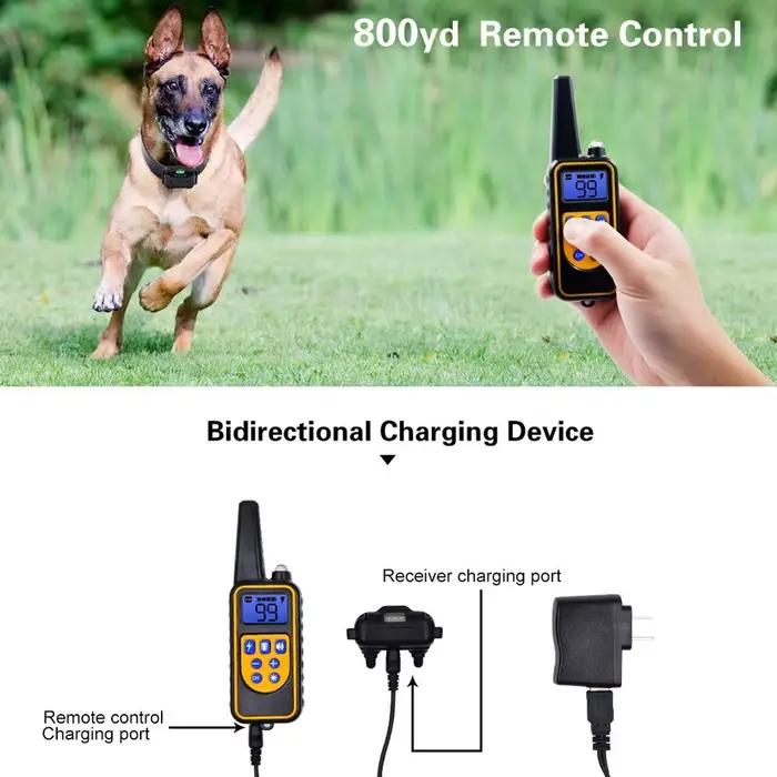 Collier Électrique Anti-Aboiement pour Chien, Étanche, avec Télécommande, Rechargeable, Dispositif d