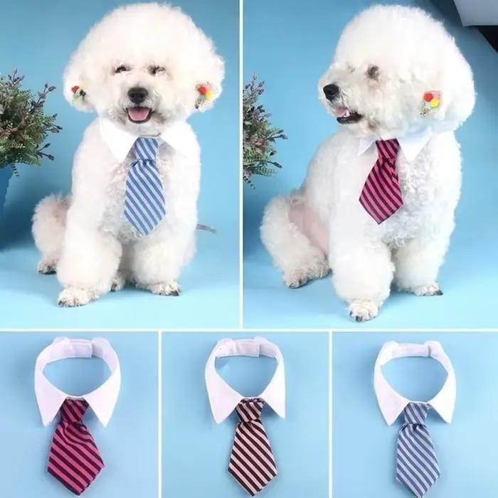 2023 chien chat toilettage chat rayé noeud papillon Animal rayé noeud papillon collier animal de com