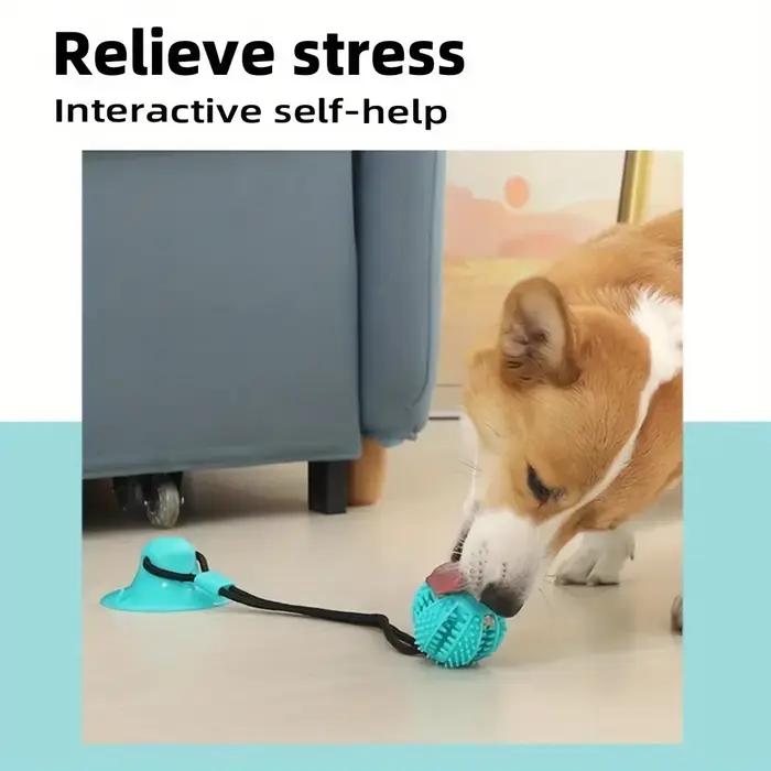 Jouet interactif à ventouse pour chien avec fuite sonore et alimentaire – Balle d'entraînement en ca
