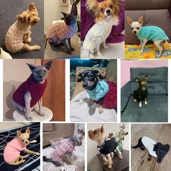 Pulls chauds pour petits chiens, col roulé, tricotés, vêtements d'hiver pour chiens, chiot, chat, gi