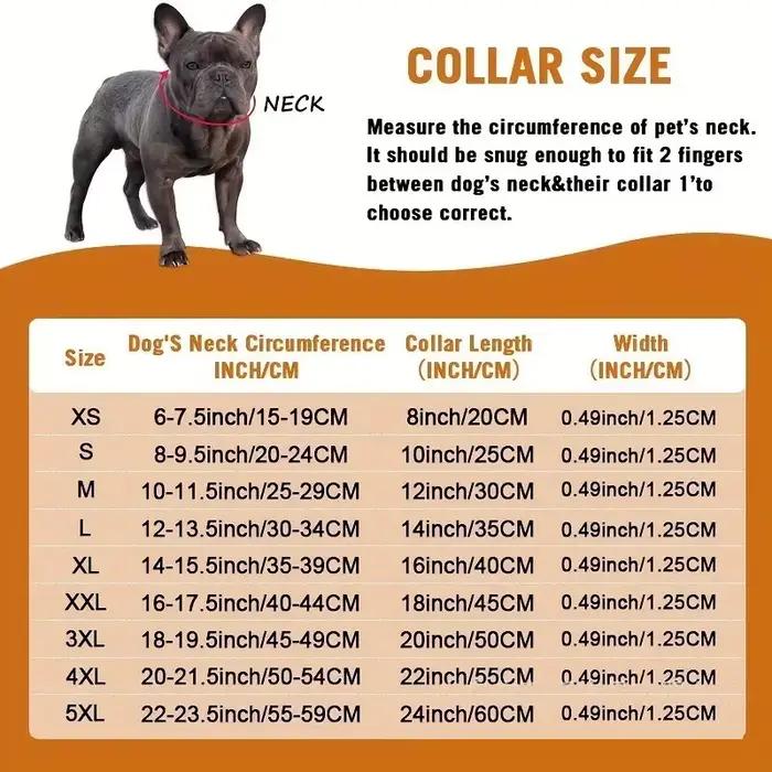 Collier pour animaux de compagnie, nouveau Style, chat, chien, chaînes cubaines entièrement en diama