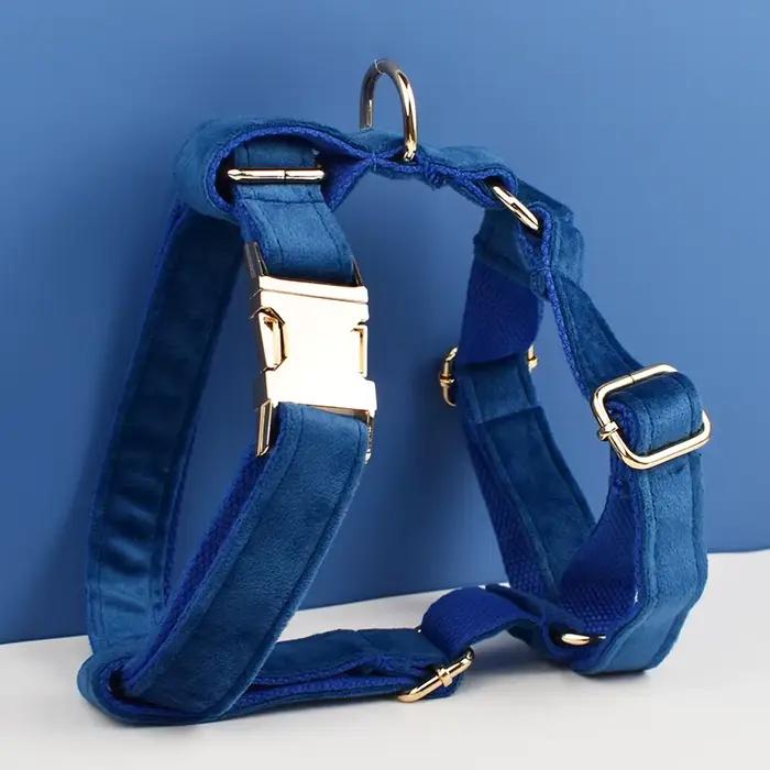 Ensemble collier et laisse pour chien en velours bleu, pour chiens de petite, moyenne et grande tail