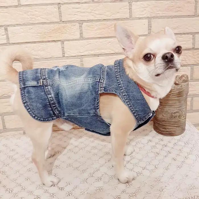 XS-2XL Denim chien vêtements Cowboy chien manteau chiot vêtements pour petits chiens jean veste chie