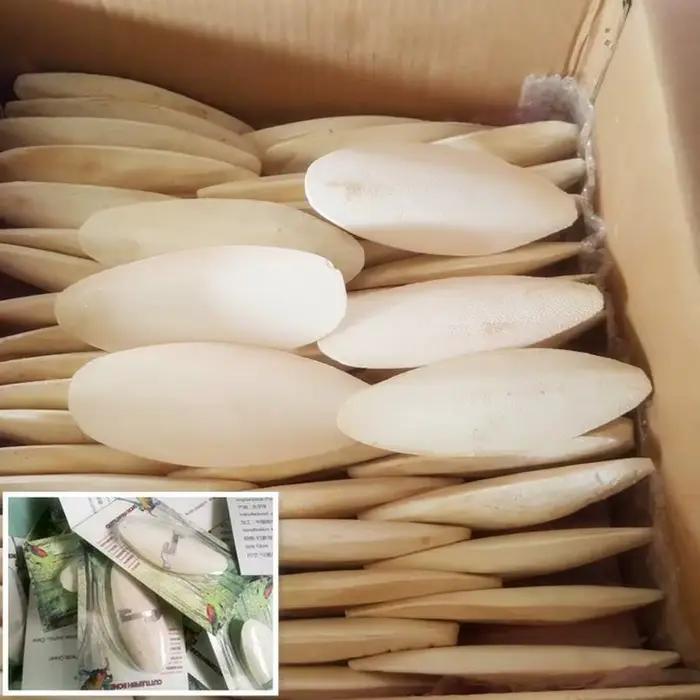 Nouveau 10 pièces/ensemble oiseaux pomme de choc perroquet chewing seiche os pour becs pointus seich