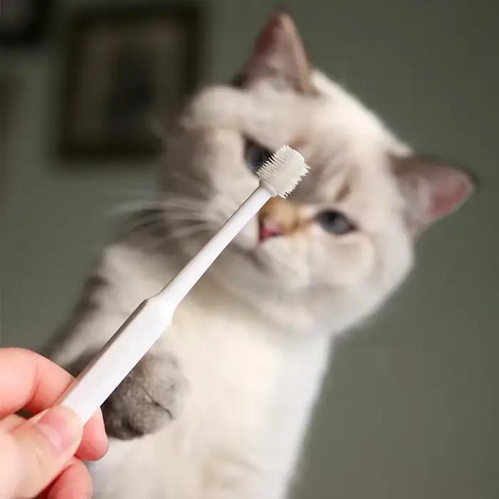 Brosse à dents pour chat, brosse à cheveux douce pour nettoyage de la bouche des chats, brosse pour 