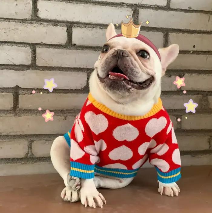 Manteau d'hiver chaud en forme de cœur pour animaux de compagnie, pour chiens de petite à moyenne ta