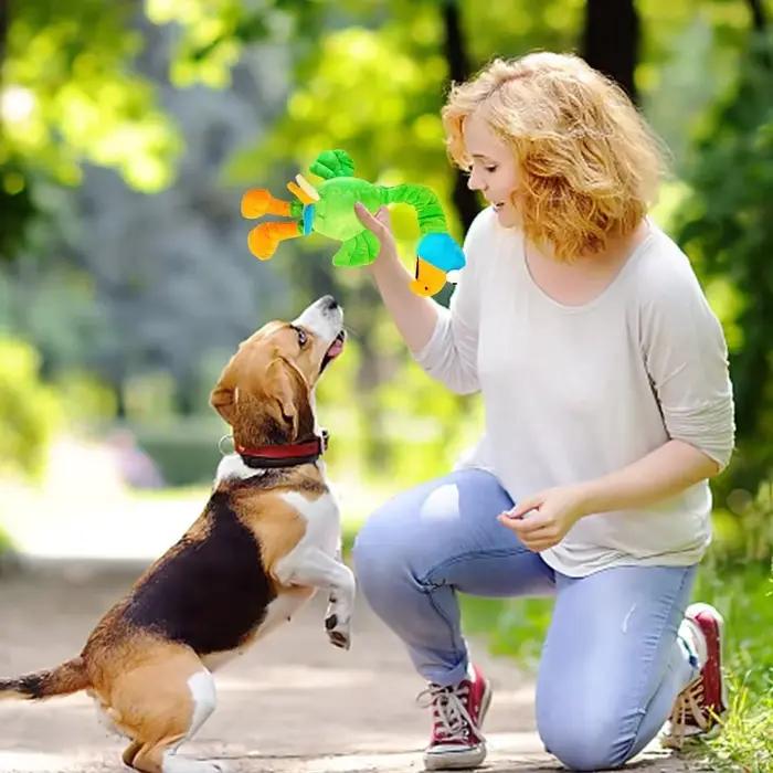 Jouets pour animaux de compagnie, poulet hurlant, son, chiot, résistant aux morsures, à mâcher, inte