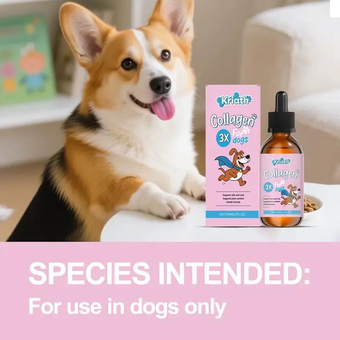 Gouttes de collagène liquide pour chiens : réparation intestinale, amélioration de la santé du systè