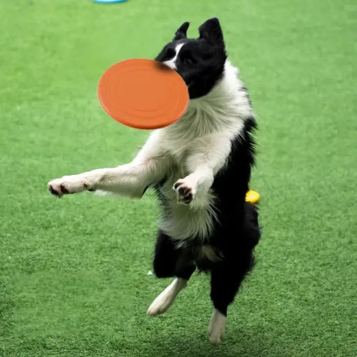 Soucoupe volante en Silicone, 7 couleurs, jouet amusant pour chien et chat, jeu pour chien, disques 