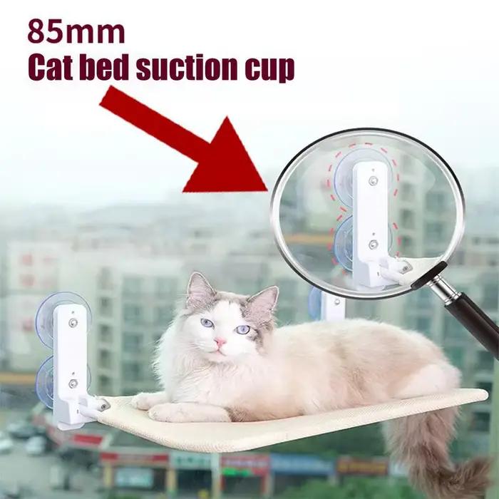 Tampons d'aspiration transparents avec vis pour chat, vis de perchoir de fenêtre pour chat, poids ma