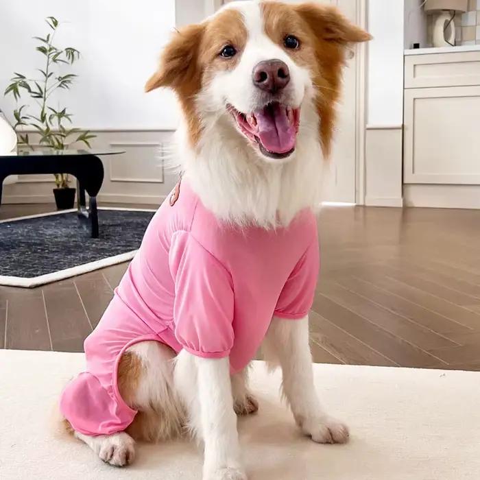 Pyjama d'été en maille ours pour petits et grands chiens, combinaison rose, bleu, violet, jaune, gre