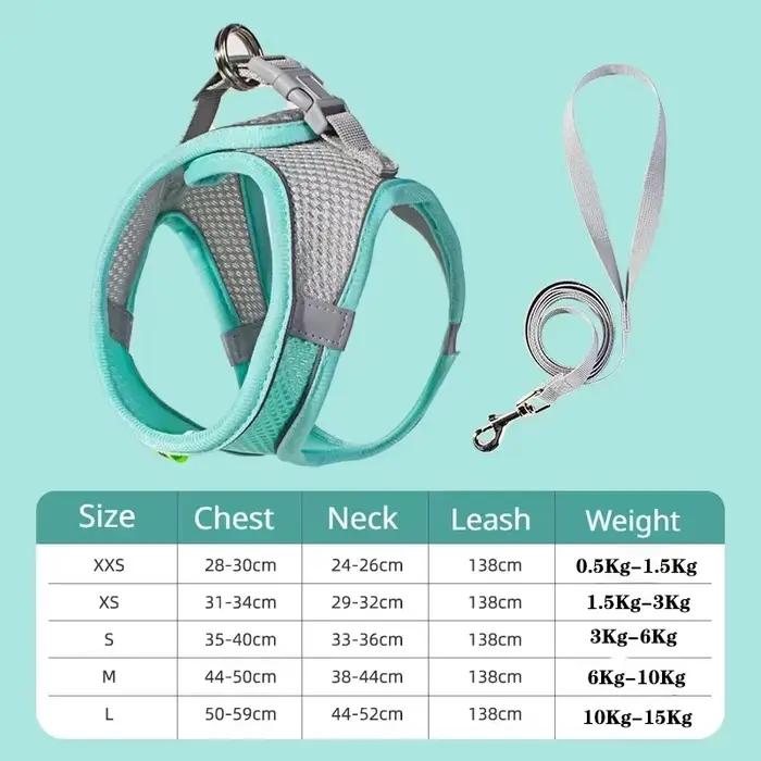 Ensemble de laisse harnais pour chien, pour petits chiens, bouledogue français, Chihuahua, carlin, l