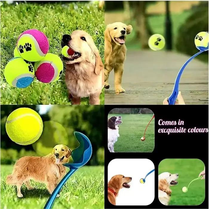 Bâton de lancer pour animaux de compagnie, balle à lancer à la main pour chien, jouets lanceur de Te