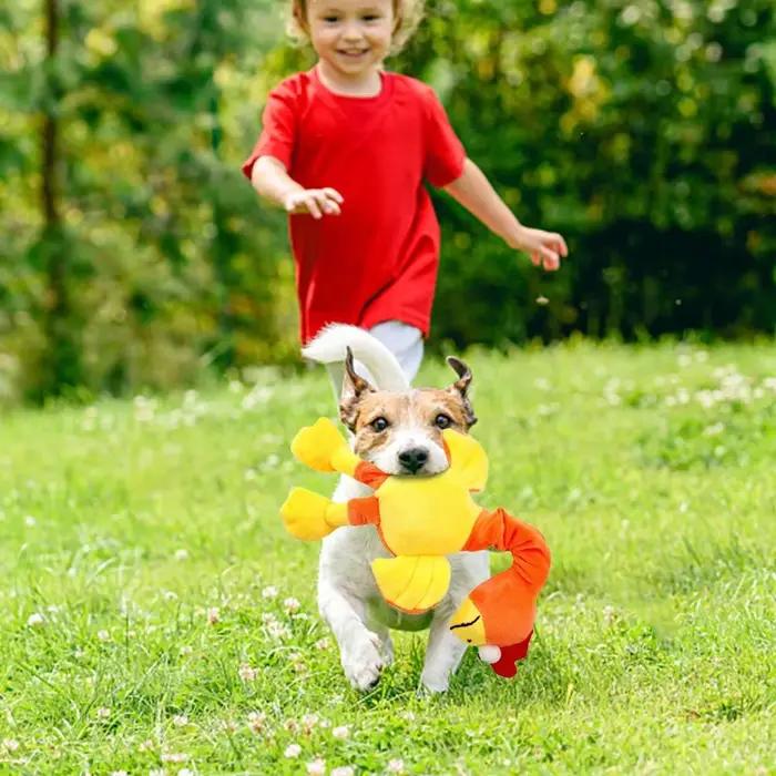 Jouets pour animaux de compagnie, poulet hurlant, son, chiot, résistant aux morsures, à mâcher, inte