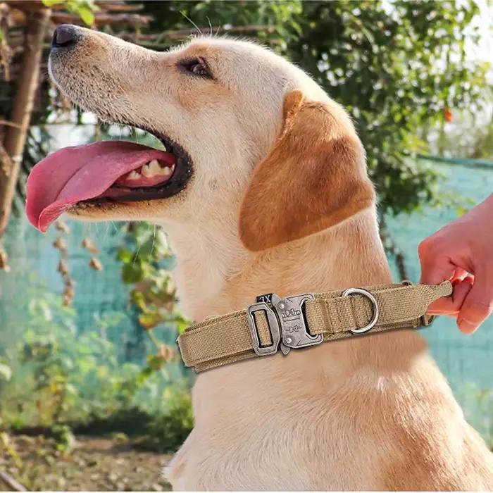 Ensemble de laisse de collier de chien de compagnie matériel en Nylon collier de chien Durable laiss