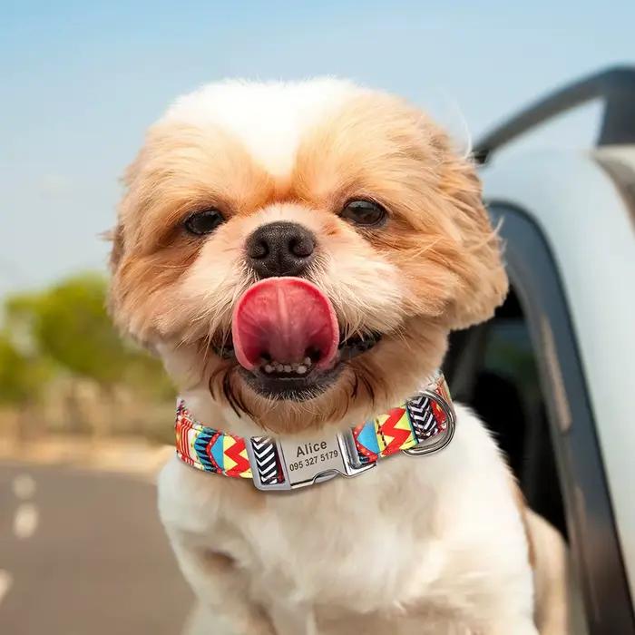 Collier de chien en nylon personnalisé, collier pour animaux de compagnie, étiquette d'identificatio