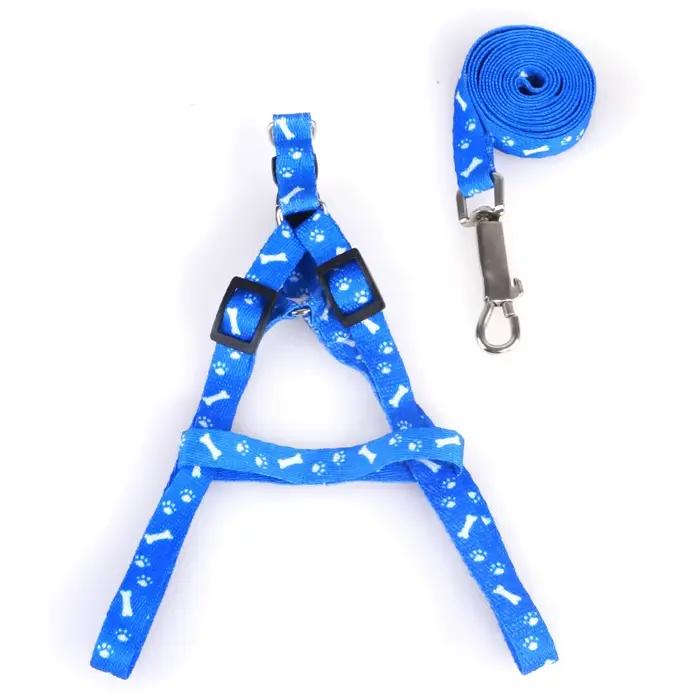 Laisse pour petit chien, laisses pour chiot, ensemble laisse et harnais pour animal de compagnie Ted