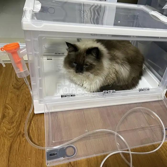 Boîte d'atomisation pour animaux de compagnie, salle d'oxygène pliable, facile à transporter, boîte 