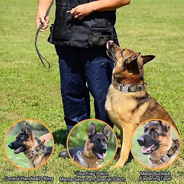 Ensemble collier et laisse tactiques militaires pour chien, collier durable pour animaux de compagni