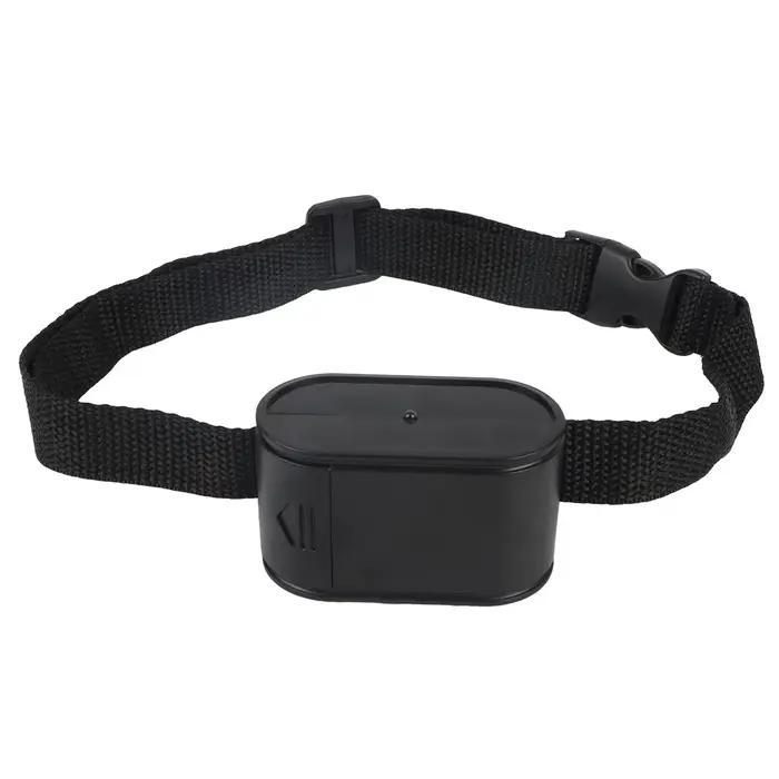 Clôture électrique pour chien, système électronique étanche pour animaux de compagnie, accessoires d