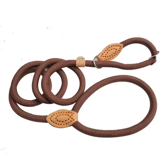 Laisse pour chien, corde antidérapante, laisse en plomb, tressée, robuste, collier à boucle réglable