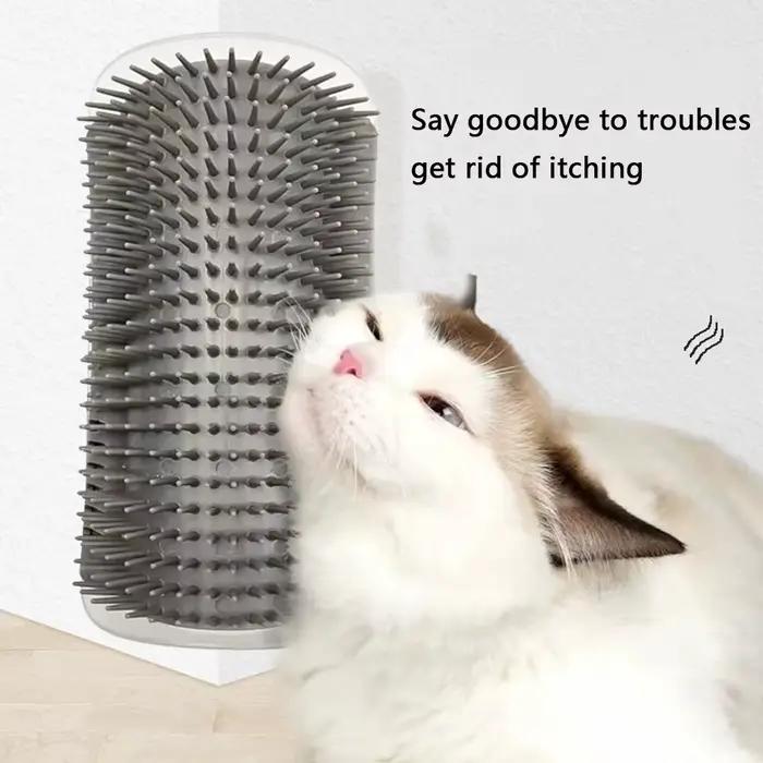 Brosse pour chat, peigne, jouet pour chat avec herbe-aux-chats, brosse murale d'angle, grattoir pour