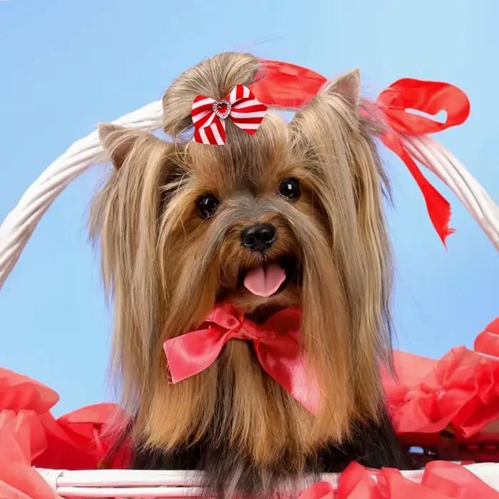 Nœuds pour chiens série rouge/rose, 20 pièces, nœuds de saint-valentin pour chiens, chat mignon, pou