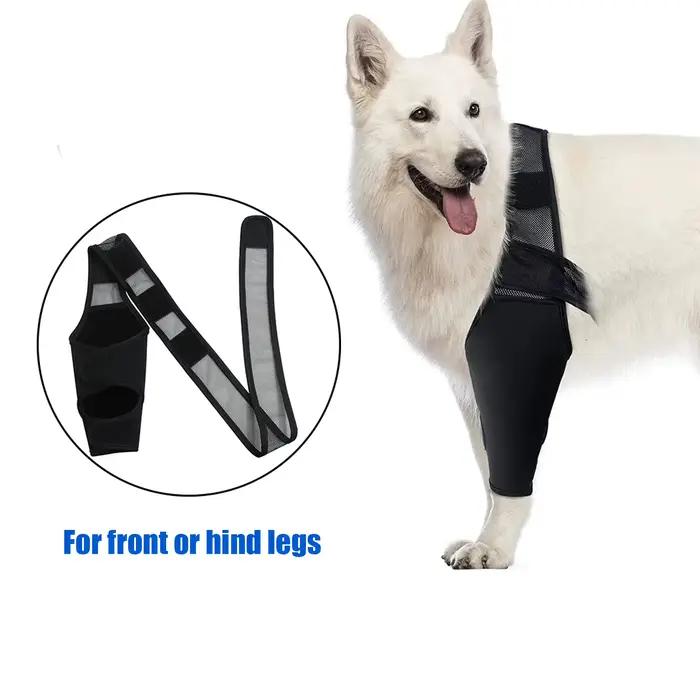 Genouillère pour chien de compagnie, pour douleurs articulaires, douleurs musculaires, attelle de ja