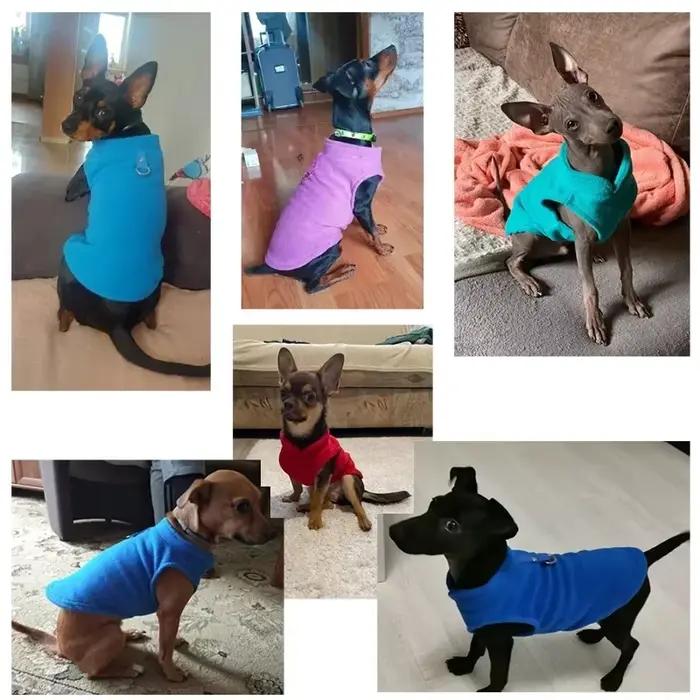 Vêtements chauds en polaire pour chiens, veste pour animaux de compagnie avec anneau en D, pour peti