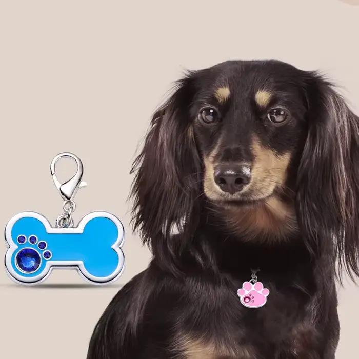 Carte d'identité en alliage Anti-perte pour animaux de compagnie, pendentif de marque, mignon, chien