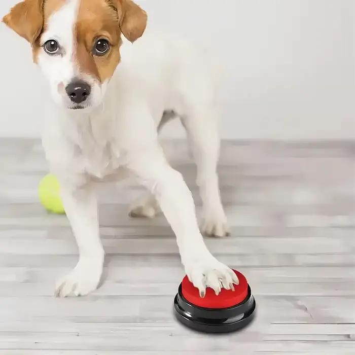 Jouets amusants pour animaux de compagnie enregistrables avec boutons parlants pour chiens, fournitu