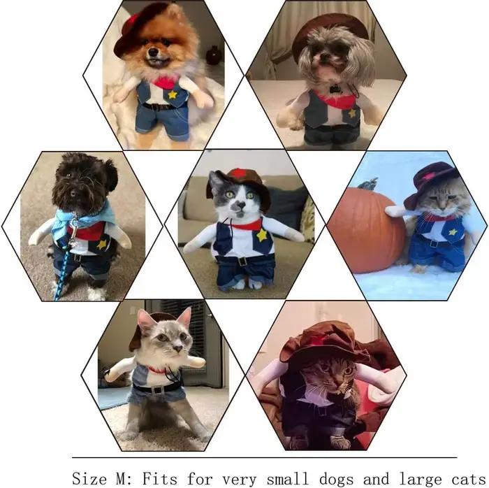 Costume d'halloween drôle pour chien et chat, vêtements de Cowboy pour chien, Costumes pour petits c