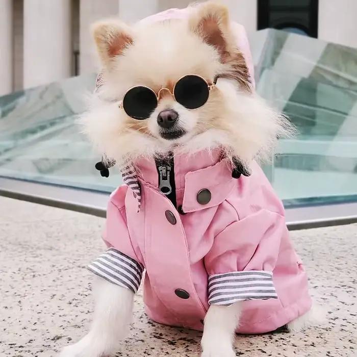 Manteau imperméable pour chien de compagnie, pour petits, moyens et grands chiens, veste coupe-vent,