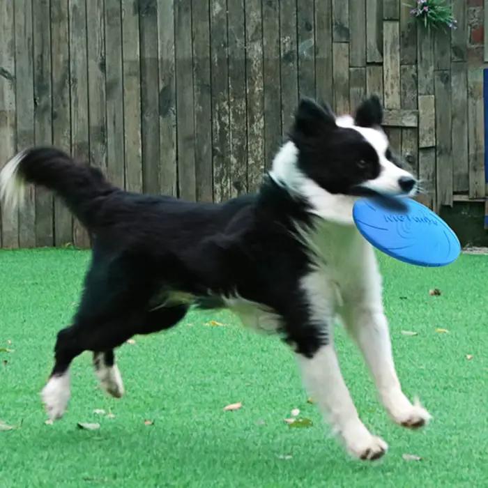 TPR – jouet d'entraînement pour grands chiens, disques volants, jouets interactifs pour animaux de c