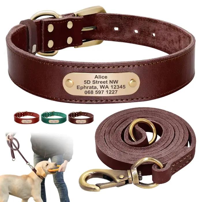 Ensemble collier et laisse pour chien en cuir véritable, personnalisé, colliers et laisses pour anim