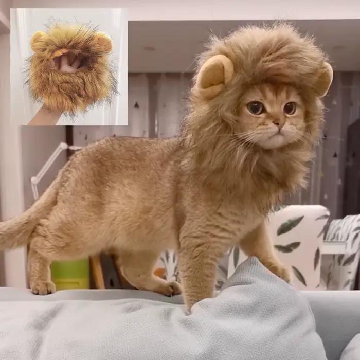 Chapeau de perruque de crinière de chat mignon pour chiens et chats, casquette de cheveux de paupièr