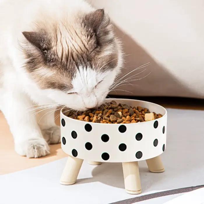 Bol en plastique pour chat et chien avec motif damier à pois, antidérapant et facile à nettoyer