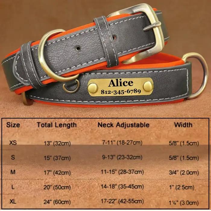 Colliers pour chiens en cuir personnalisables, plaque signalétique gravée personnalisée, collier rem