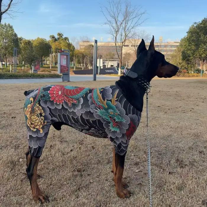 Combinaison intégrale pour chien à quatre pattes, motif animaux, haute élasticité, toutes saisons, p