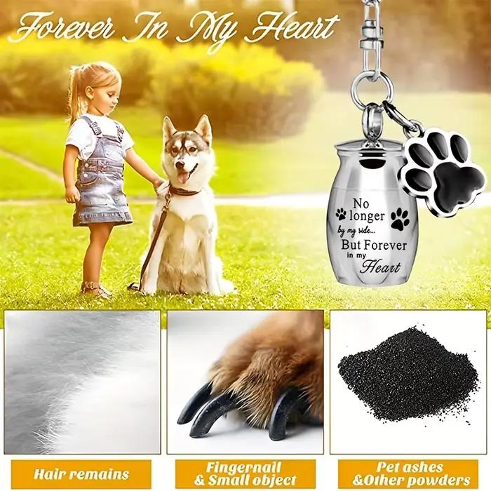 Porte-clés urnes pour animaux de compagnie, chien/chat pour cendres, bijoux de crémation, souvenir c