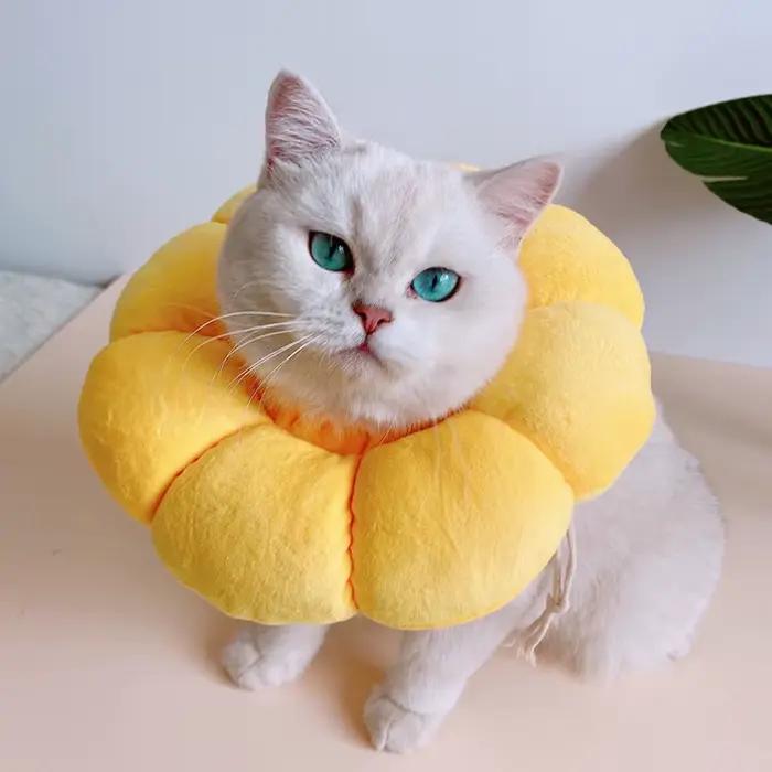 Cône UR pour chat élisabéthain mignon pour animaux de compagnie, traitement des plaies anti-mordante