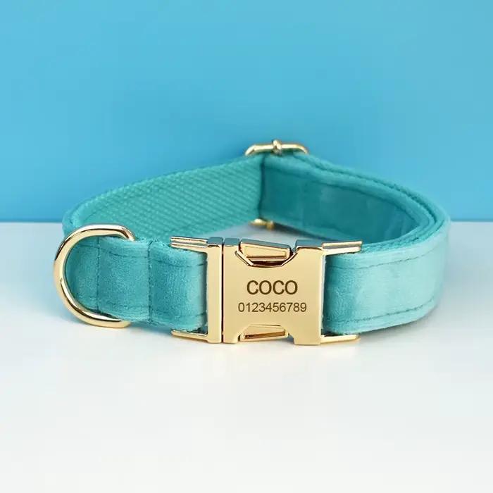 Ensemble collier et laisse pour chien en velours avec pierre turquoise, plaque nominative gravée sur