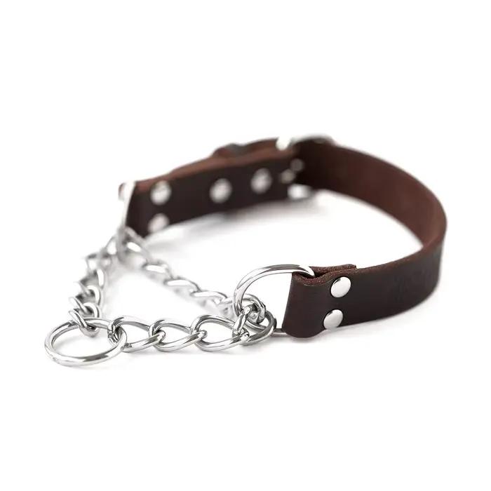 Collier de chien Martingale collier d'entraînement en acier inoxydable chaîne limitée Cinch formatio