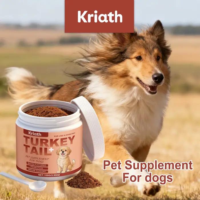 Poudre de complément nutritionnel pour chiens : Améliore la vitalité de l'animal, équilibre la flore