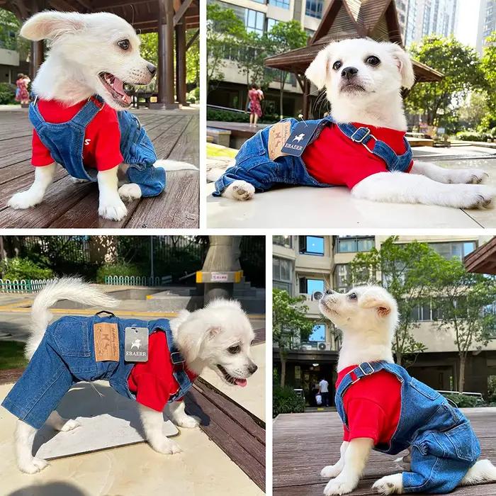 Salopette en jean pour animaux de compagnie pour bouledogue français, combinaison en jean pour chien