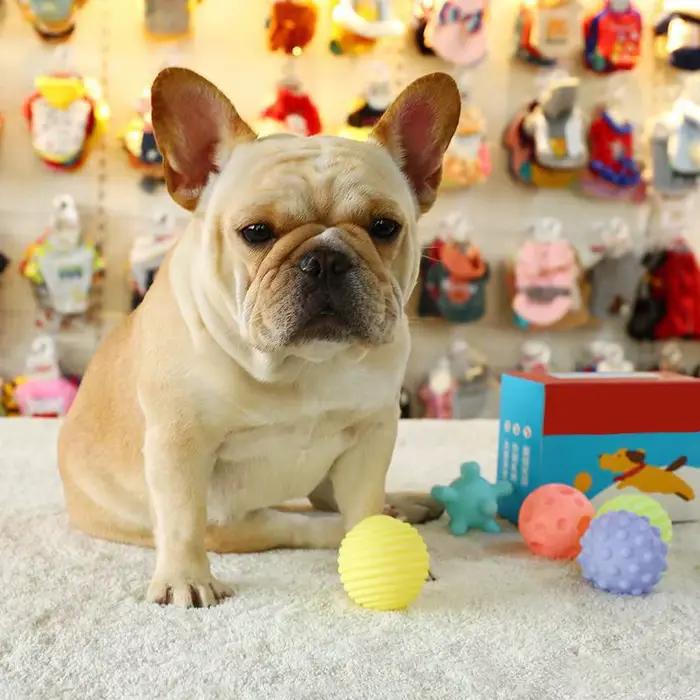 Balle à mâcher avec couinement pour petits chiens, jouets pour animaux de compagnie, diamètre 6cm, b