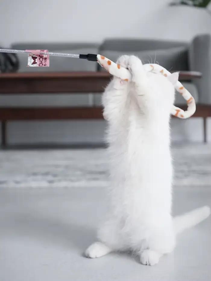Jouet pour chat plume chat Teaser baguette chat jouet interactif drôle chenille coloré tige Teaser b